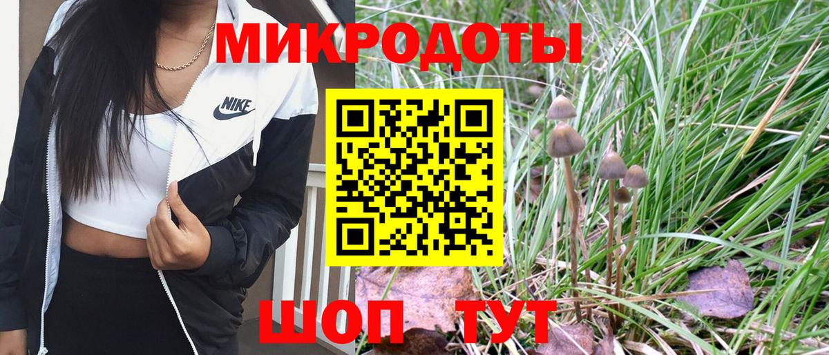 Псилоцибиновые грибы ЛСД Валуйки