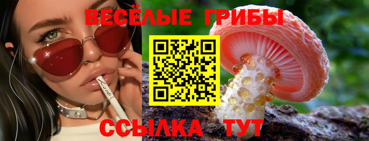 Валуйки  Галлюциногенные грибы Cubensis  Галлюциногенные грибы MAGIC MUSHROOMS  Вход с VPN 